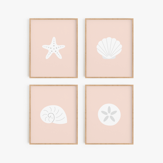 Sensational Seashell Art Prints (Set of 4)